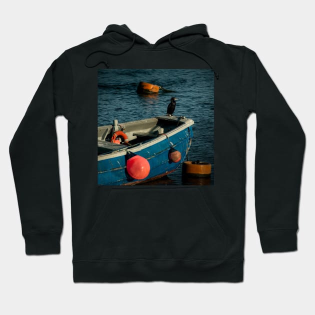Cormorant On The River Wear At Sunderland Hoodie by axp7884